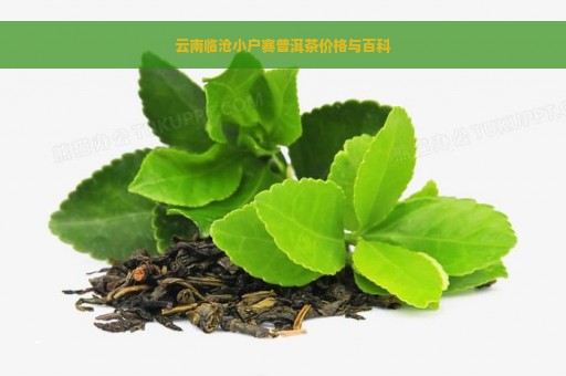 云南临沧小户赛普洱茶价格与百科