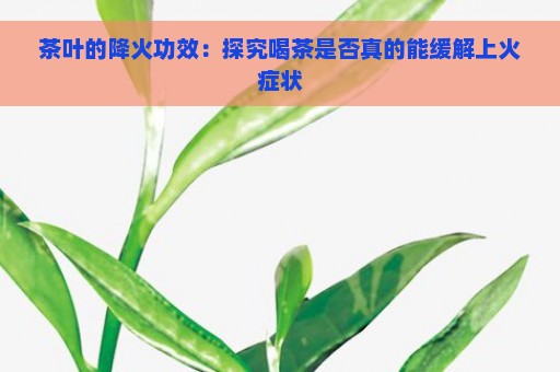 茶叶的降火功效：探究喝茶是否真的能缓解上火症状