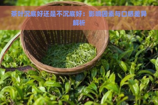 茶叶沉底好还是不沉底好：影响因素与口感差异解析