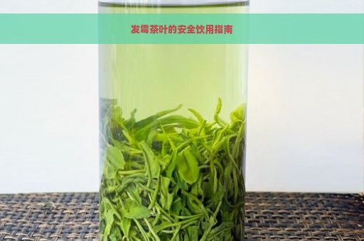 发霉茶叶的安全饮用指南