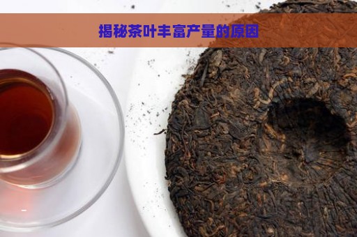 揭秘茶叶丰富产量的原因