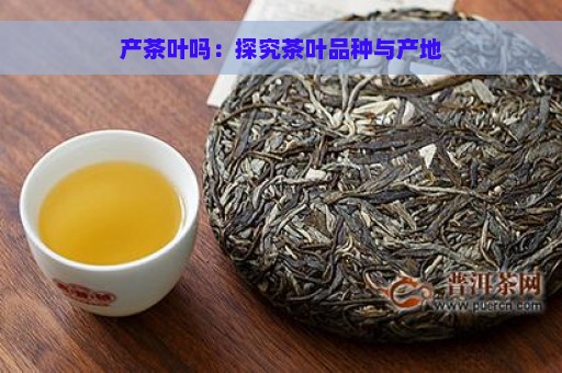 产茶叶吗：探究茶叶品种与产地