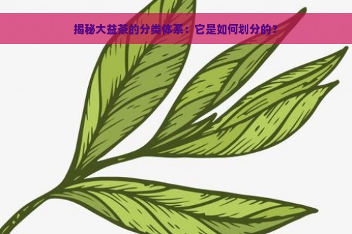 揭秘大益茶的分类体系：它是如何划分的？