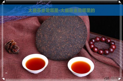 大益茶业是哪里-大益茶业是哪里的