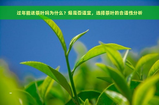 过年能送茶叶吗为什么？烟是否适宜，选择茶叶的合适性分析