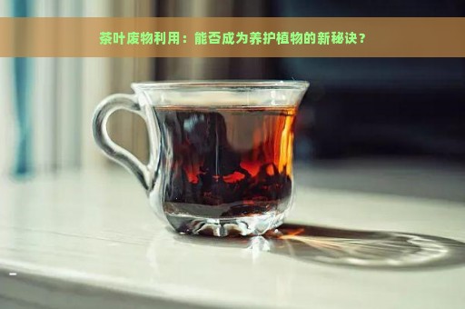 茶叶废物利用：能否成为养护植物的新秘诀？