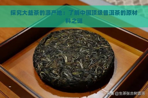 探究大益茶的源产地：了解中国顶级普洱茶的原材料之谜