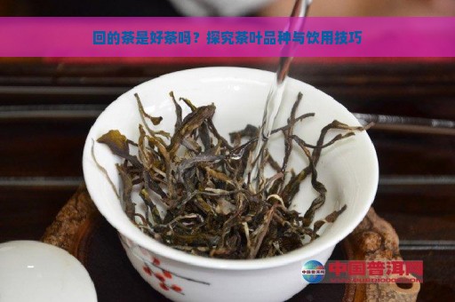 回的茶是好茶吗？探究茶叶品种与饮用技巧