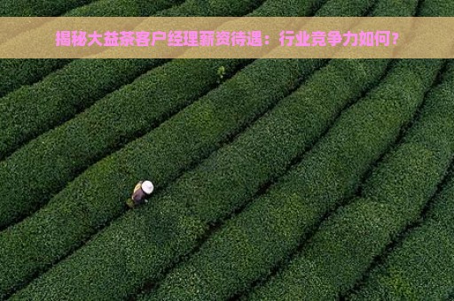 揭秘大益茶客户经理薪资待遇：行业竞争力如何？