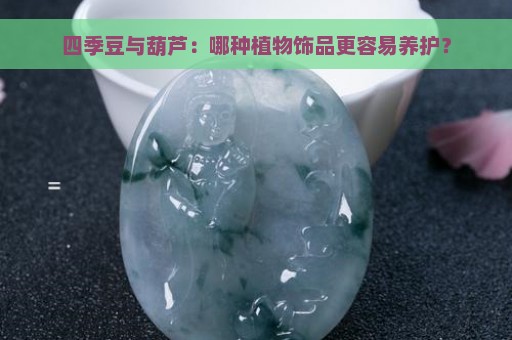 四季豆与葫芦：哪种植物饰品更容易养护？