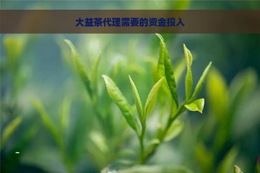 大益茶代理需要的资金投入