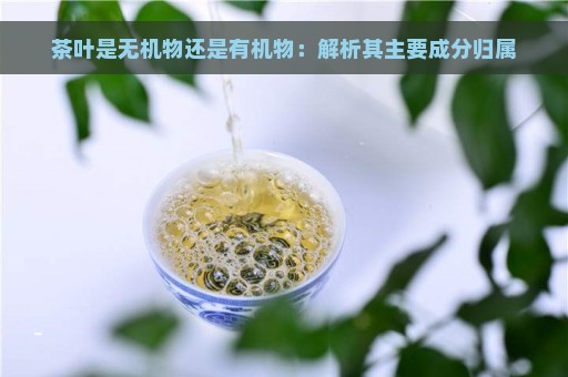 茶叶是无机物还是有机物：解析其主要成分归属