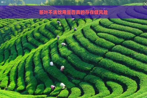 茶叶不洗饮用是否真的存在健风险