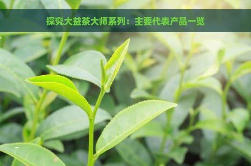 探究大益茶大师系列：主要代表产品一览