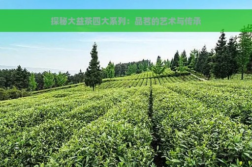 探秘大益茶四大系列：品茗的艺术与传承