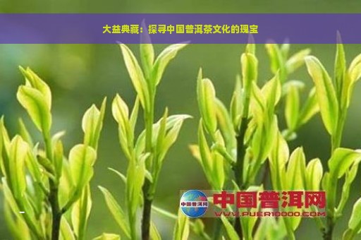 大益典藏：探寻中国普洱茶文化的瑰宝