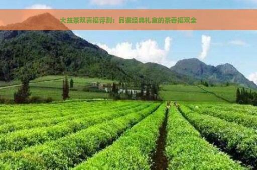 大益茶双喜福评测：品鉴经典礼盒的茶香福双全