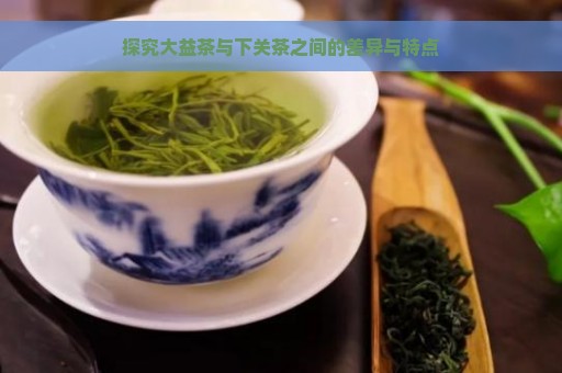 探究大益茶与下关茶之间的差异与特点