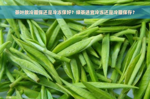 茶叶放冷藏保还是冷冻保好？绿茶适宜冷冻还是冷藏保存？