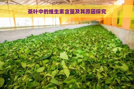 茶叶中的维生素含量及其原因探究