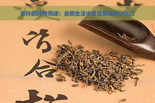 茶叶的神奇用途：去除生活中常见异味的小窍门