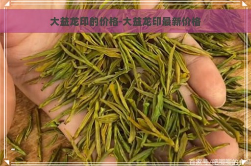 大益龙印的价格-大益龙印最新价格