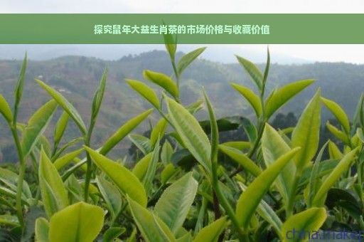 探究鼠年大益生肖茶的市场价格与收藏价值