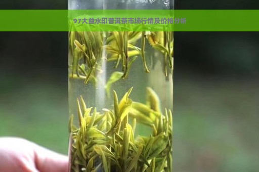 97大益水印普洱茶市场行情及价格分析