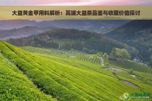 大益黄金甲用料解析：高端大益茶品鉴与收藏价值探讨