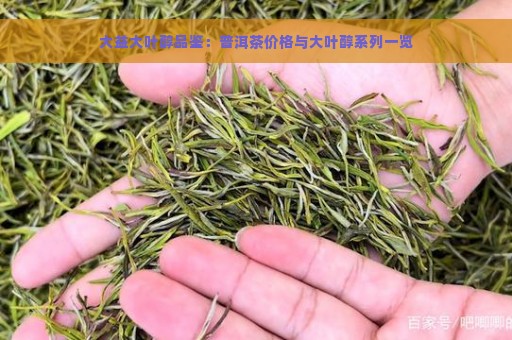 大益大叶醇品鉴：普洱茶价格与大叶醇系列一览