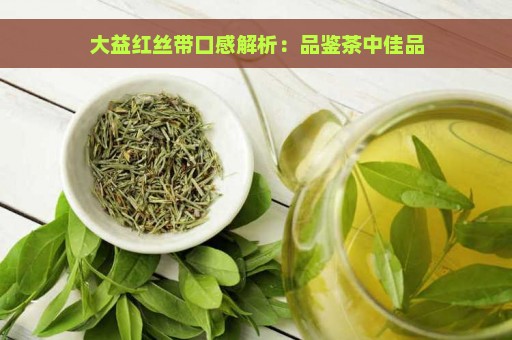 大益红丝带口感解析：品鉴茶中佳品