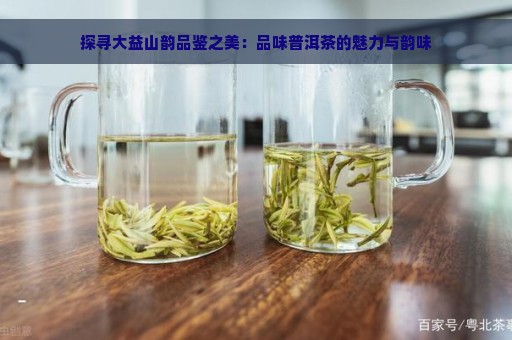 探寻大益山韵品鉴之美：品味普洱茶的魅力与韵味