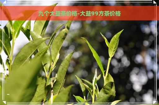 九个大益茶价格-大益99方茶价格