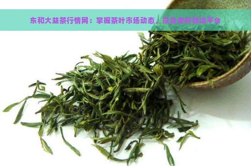 东和大益茶行情网：掌握茶叶市场动态，投资者的首选平台