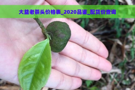 大益老茶头价格表_2020品鉴_配货价查询