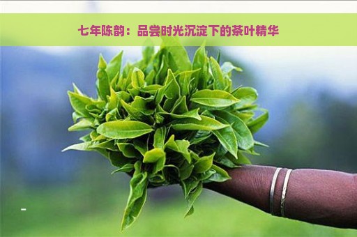 七年陈韵：品尝时光沉淀下的茶叶精华