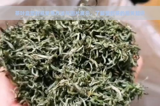 茶叶盒塑封机使用方法与图片展示，了解塑封茶的相关知识