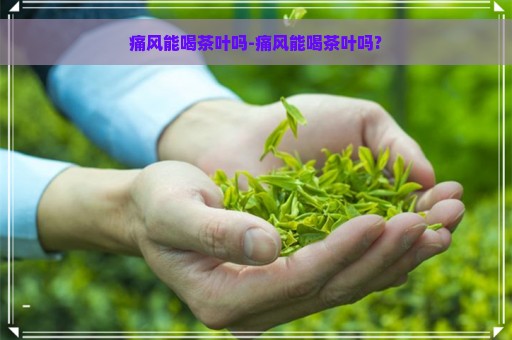 痛风能喝茶叶吗-痛风能喝茶叶吗?