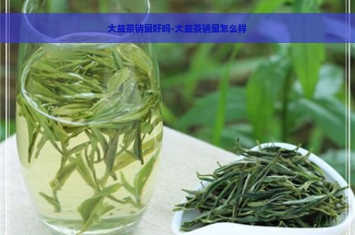 大益茶销量好吗-大益茶销量怎么样