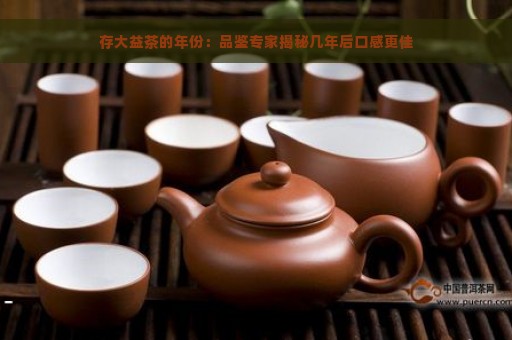 存大益茶的年份：品鉴专家揭秘几年后口感更佳