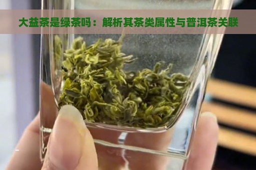 大益茶是绿茶吗：解析其茶类属性与普洱茶关联