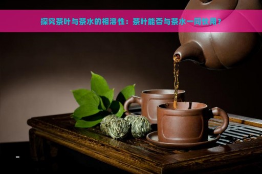 探究茶叶与茶水的相溶性：茶叶能否与茶水一同饮用？