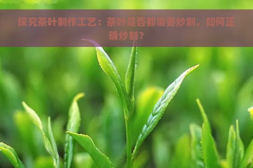 探究茶叶制作工艺：茶叶是否都需要炒制，如何正确炒制？