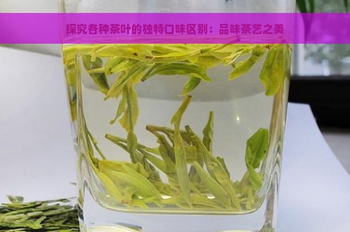 探究各种茶叶的独特口味区别：品味茶艺之美