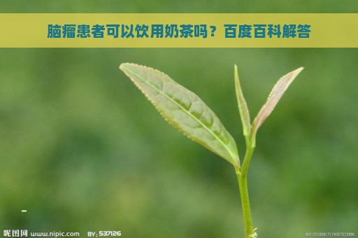 脑瘤患者可以饮用奶茶吗？百度百科解答