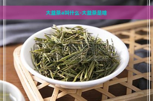 大益茶a叫什么-大益茶是啥