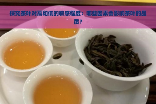 探究茶叶对高和低的敏感程度：哪些因素会影响茶叶的品质？