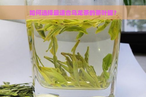 如何选择最适合乌龙茶的茶叶罐？