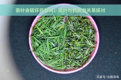 茶叶会破坏药效吗：茶叶与药效的关系探讨