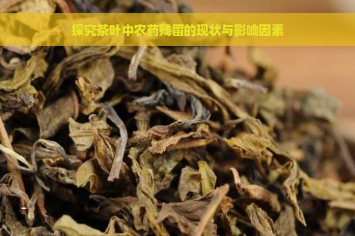 探究茶叶中农药残留的现状与影响因素